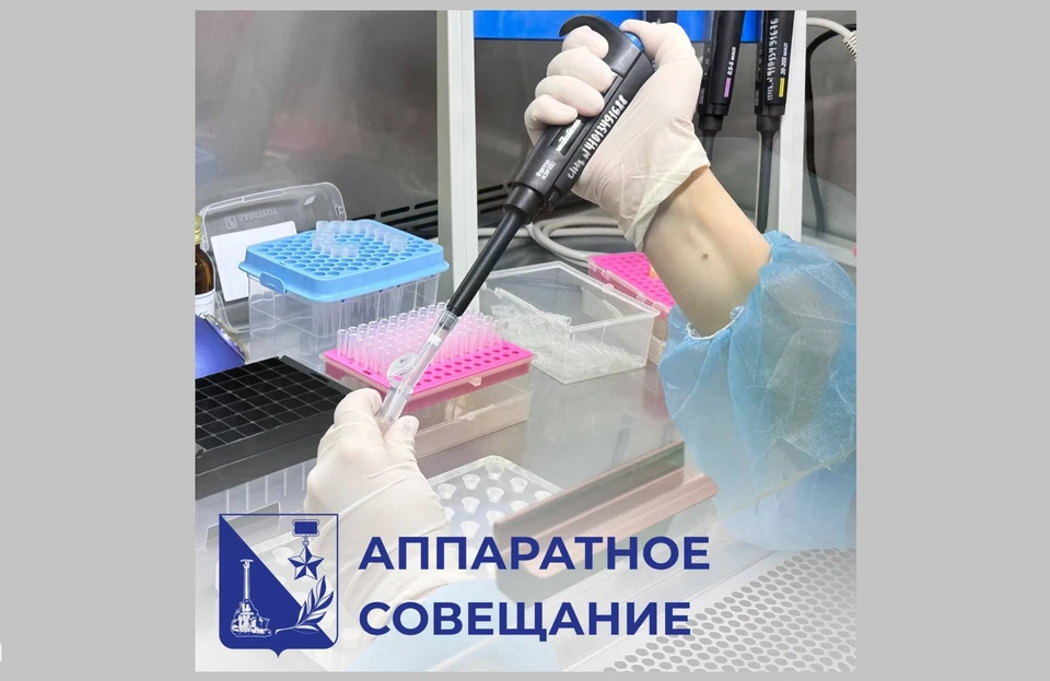 Губернатор Севастополя незамедлительно отреагировал на жалобы горожан. Фото: t.me/razvozhaev