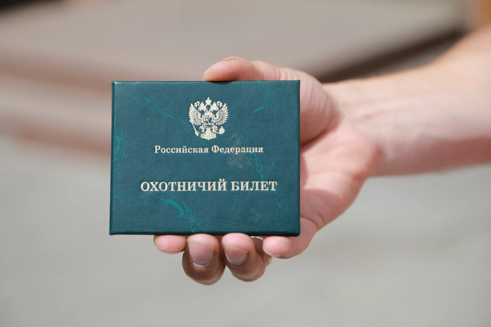В 2024 году охотничий билет оформили больше полутора тысяч крымчан