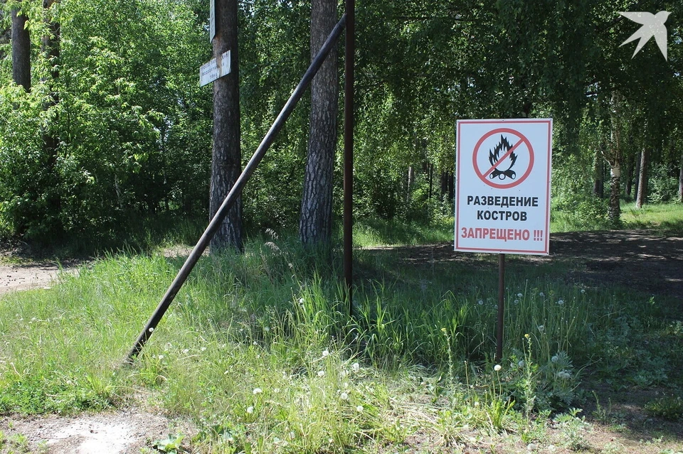 Нарушителей накажут штрафами