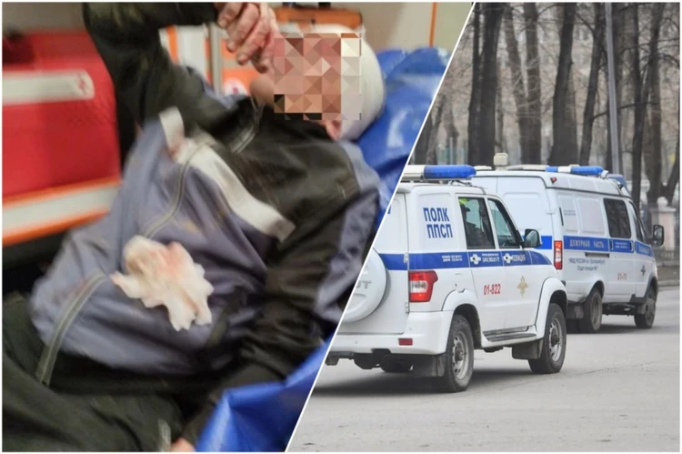 «Спустила с поводка и сказала «фас»: в Каменске-Уральском стаффорд и шарпей едва не растерзали супругов по команде хозяйки