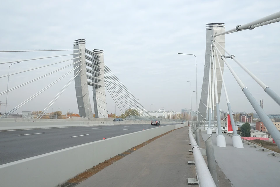 На мосту Бетанкура мелких птиц от стеклянного ограждения отпугивают силуэты хищников.