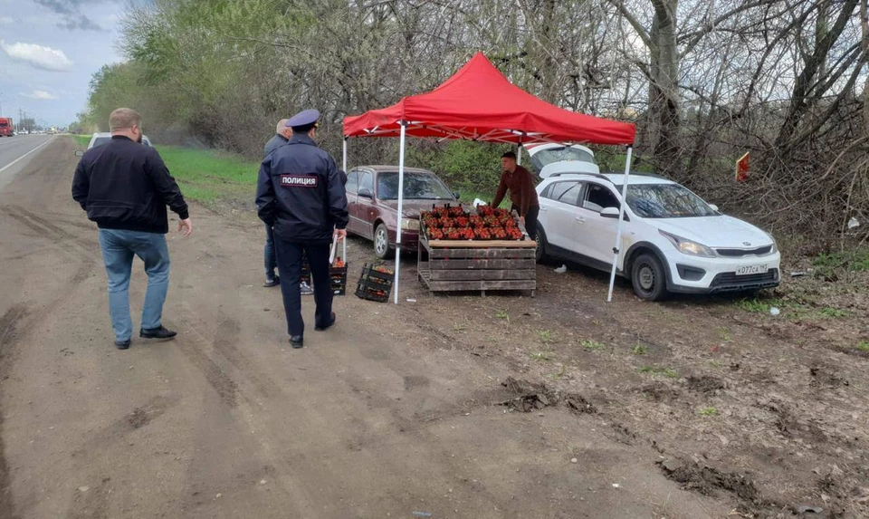 Фото: пресс-служба администрации Краснодара