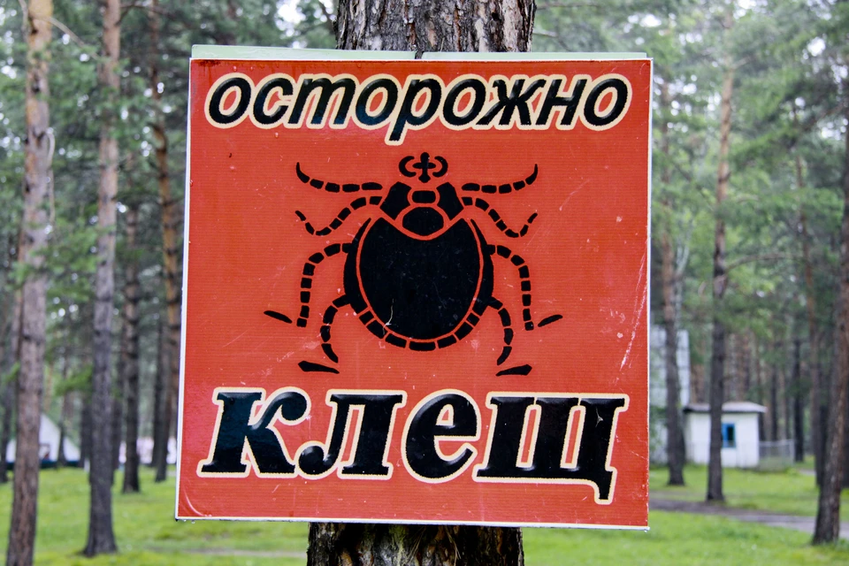 Фото: Укладов Олег, "Комсомольская правда"