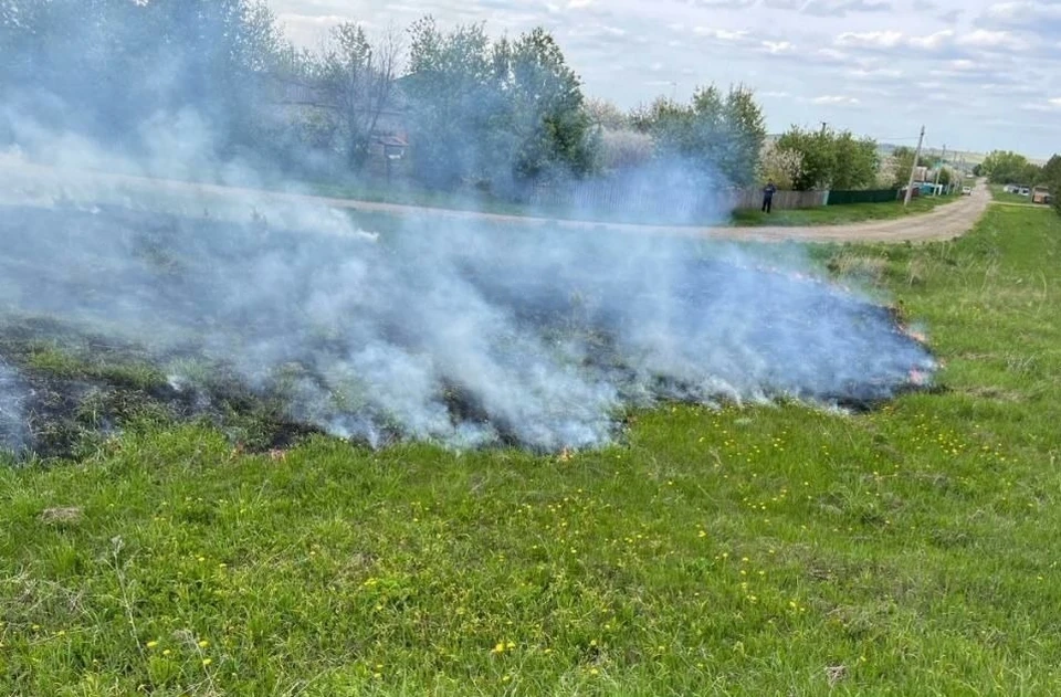 В Башкирии загорелась сухая растительность. Фото: Госкомитет по ЧС.