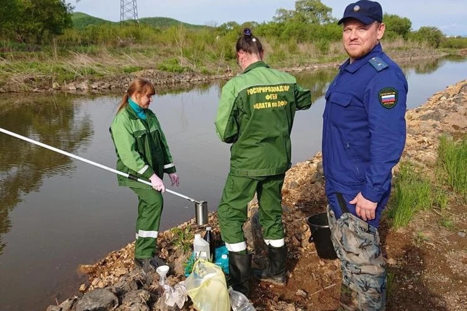 Прокурор обратился в суд с иском. Фото: природоохранная прокуратура Приморья
