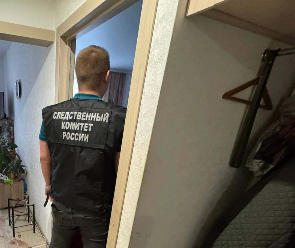 Следователи разбираются в обстоятельствах убийства пожилой женщины