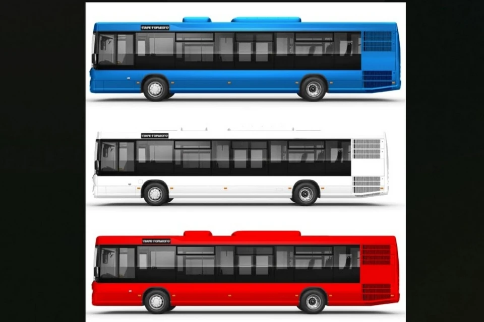 Красноярцам предлагают выбрать цвет новых автобусов. Фото: т/г Владислава Логинова
