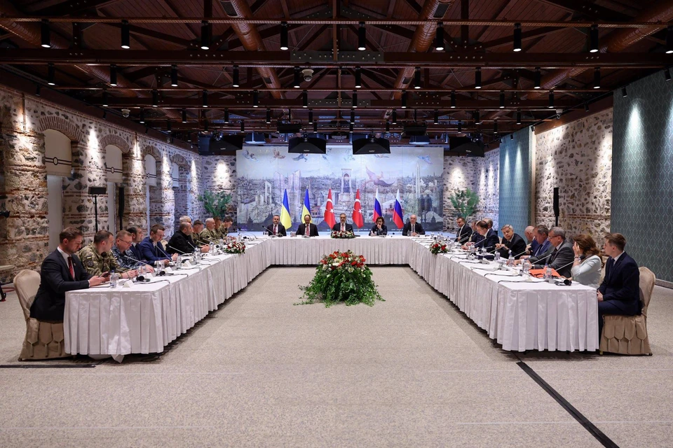 Дмитрук: украинская делегация забыла русский язык на переговорах в Стамбуле