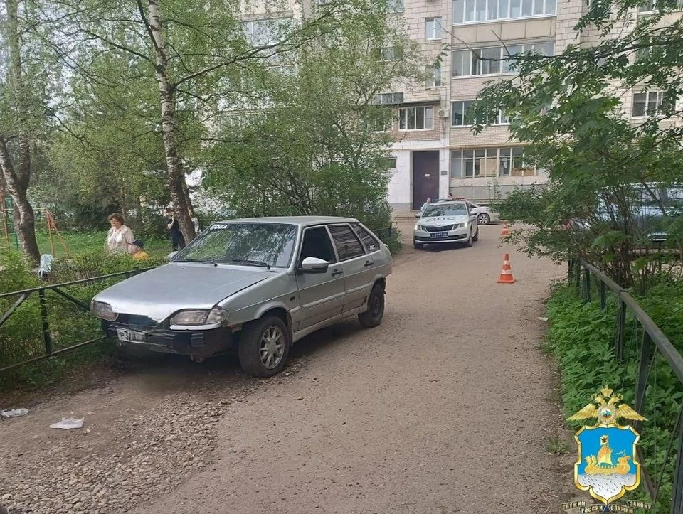 Фото: УМВД России по Костромской области