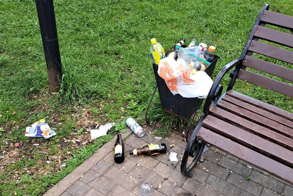 Горожане отмечают, что виновниками сложившейся ситуации являются не только те, кто оставляет мусор, но и службы, ответственные за уборку. Фото: «ЗЧ - Злой Чепчинанин»