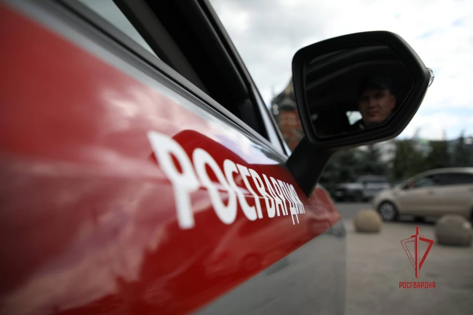 Более 30 правонарушений пресекли росгвардейцы в Тульской области