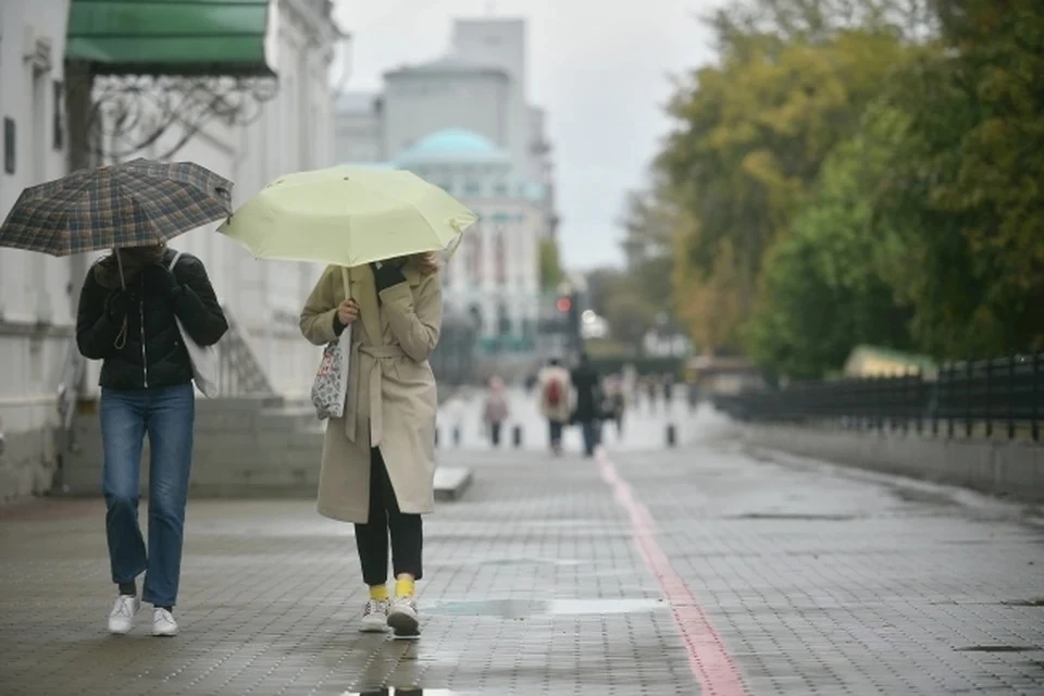 Тепло с осадками: какая погода ожидается в Москве и Подмосковье в ближайшую неделю