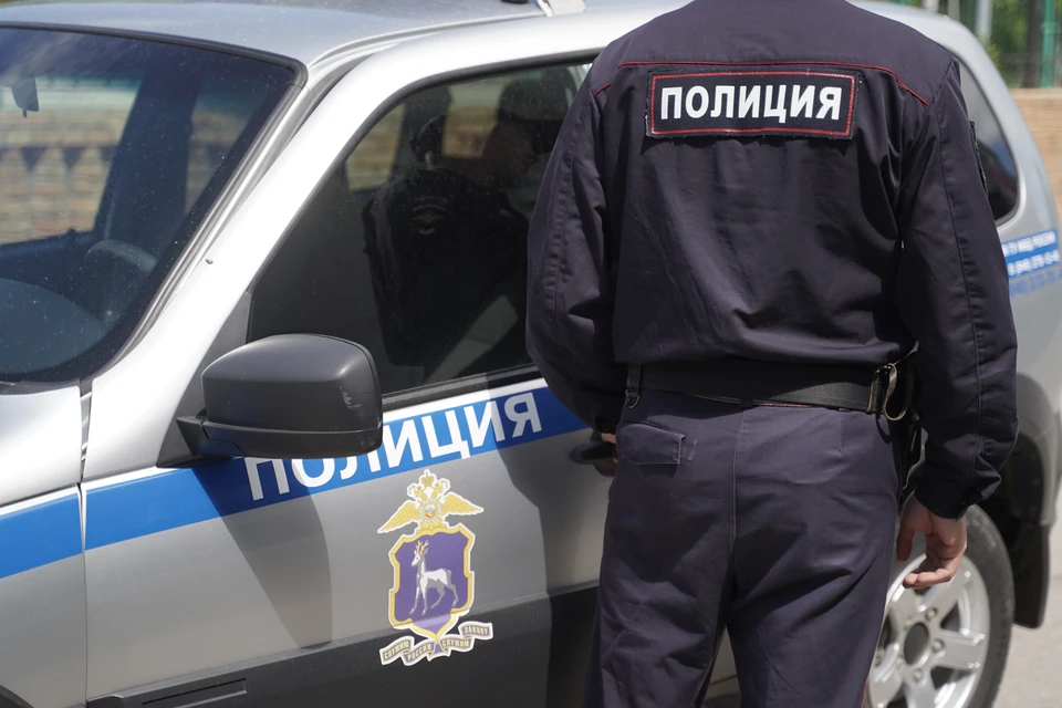 На сайте объявлений женщину привлек Toyota Harrier 2004 года выпуска.