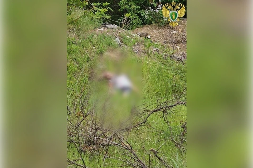 Тело семилетней девочки с проломленной головой нашли в Бердянске. Фото: прокуратура Запорожской области