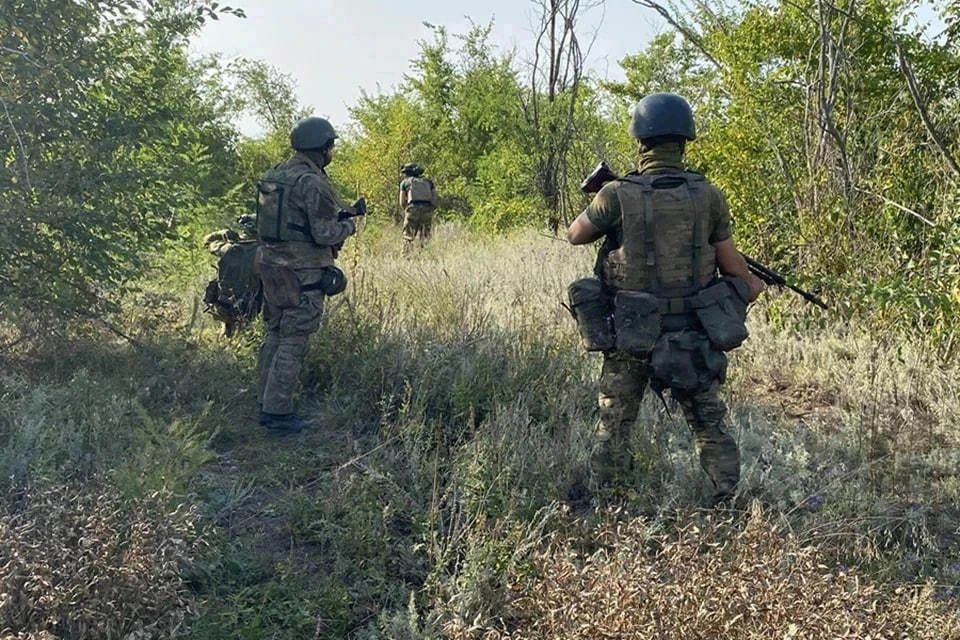 На Красноармейском направлении в ДНР российские войска нанесли поражение ВСУ (архивное фото)
