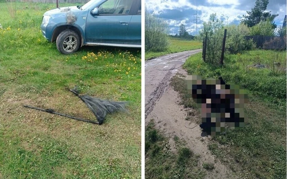 Погиб на рыбалке от удара током. Фото: t.me/AAShutkin