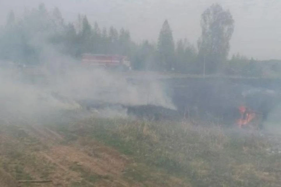 В Тайшетском районе двое мужчин устроили ландшафтные пожары