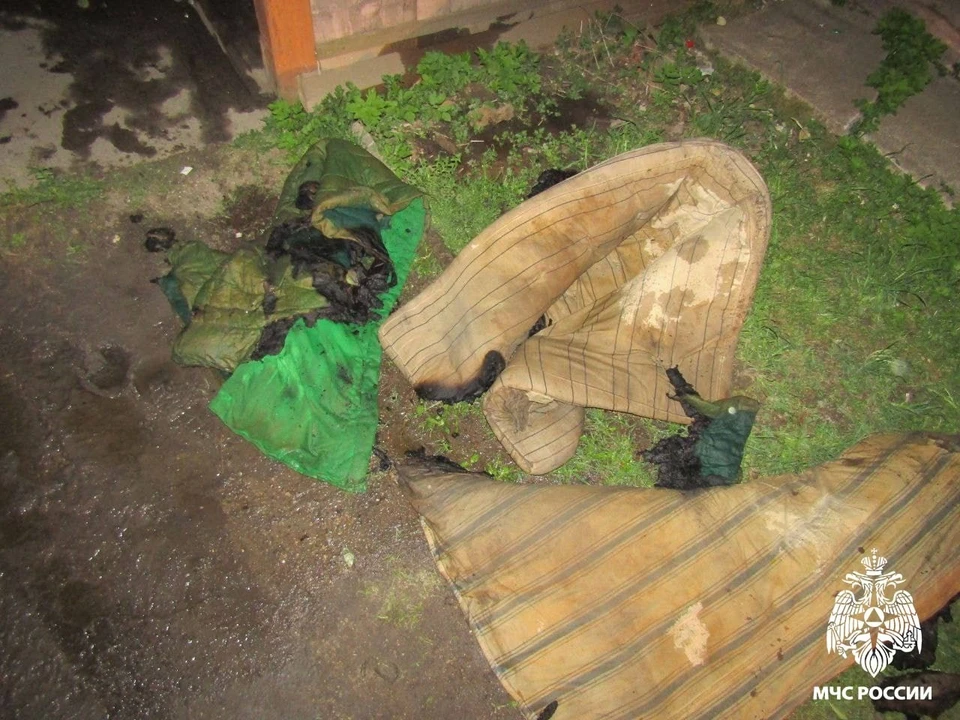 "Божьи коровки не курят в кроватке, долго живут и у них все в порядке" - МЧС Республики Беларусь.