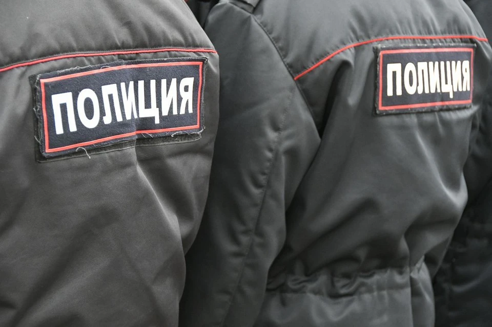 Скандаливший с женой мужчина попутно оскорбил полицейских в Кимовском районе Тульской области