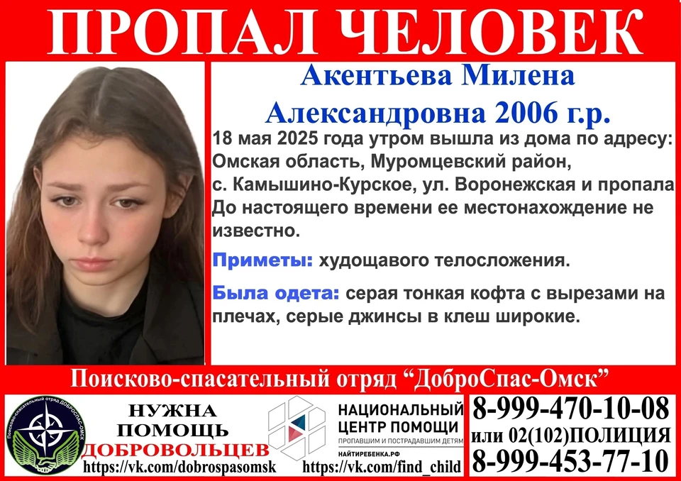 Фото: «Лиза Алерт»