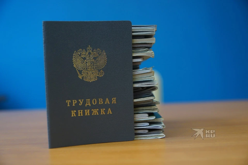 На платформах для поиска работы зарегистрировались и обновили свои резюме более 192 тысяч местных кандидатов