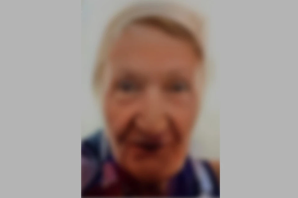 В Новосибирске завершились поиски 81-летней пенсионерки с коричневым пледом. Фото: ДПСО «ЛизаАлерт» по Новосибирской области