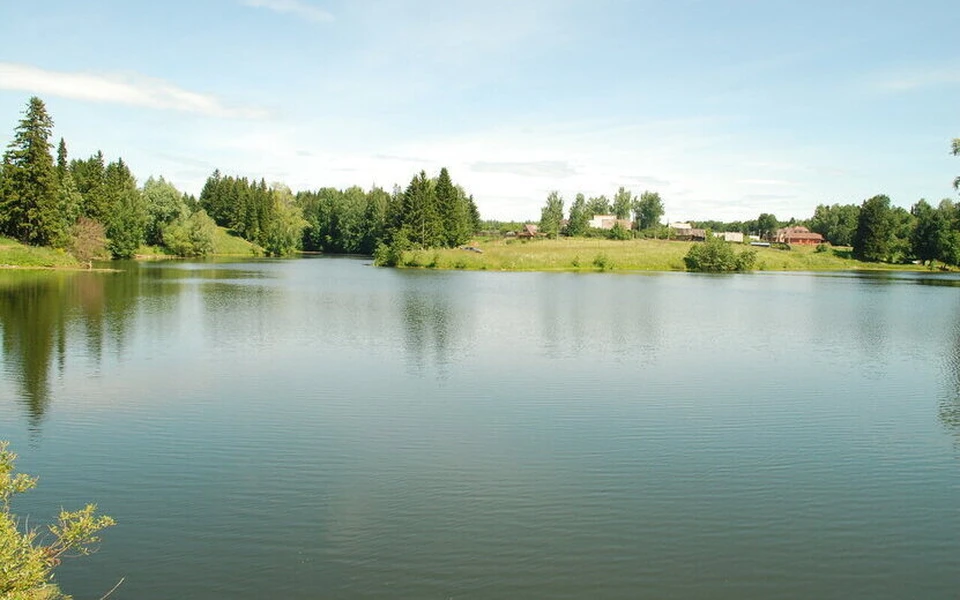 Нашли в пруду. Фото: архив
