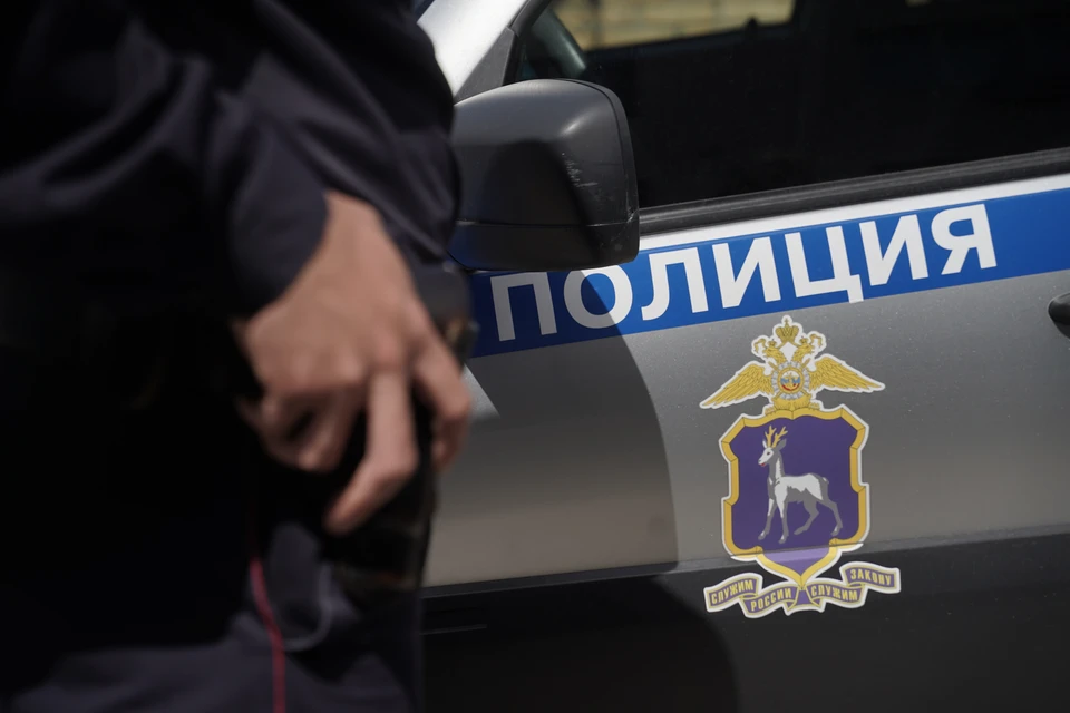 Драка школьниц в Дзержинске привлекла внимание прокуратуры и полиции.