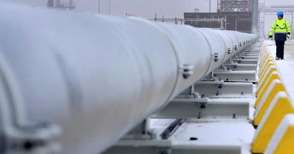 В Германии призвали возобновить поставки газа из России