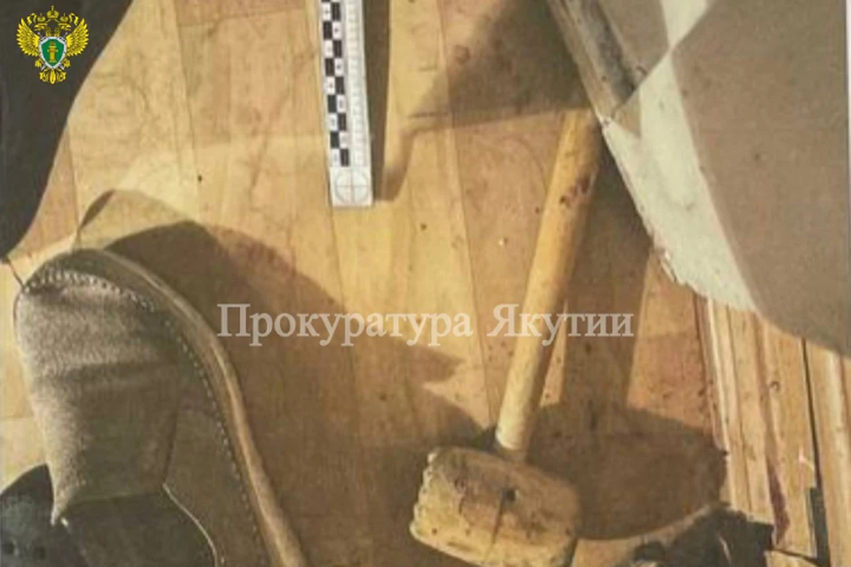 Удары сыпались градом: позже на женщине насчитают не менее 50 следов. Фото: прокуратура РС (Я)
