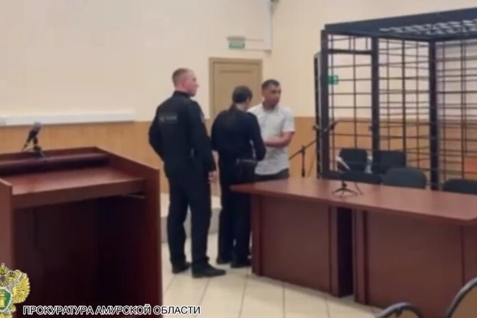 Бывшего полицейского взяли под стражу в зале суда. Фото: скриншот видео прокуратуры Амурской области