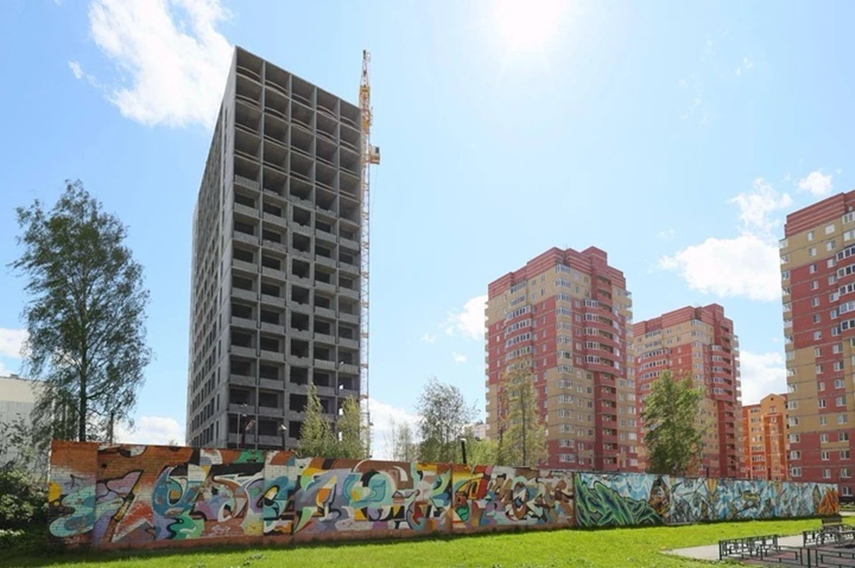 Фото: тг-канал Петра Вагина