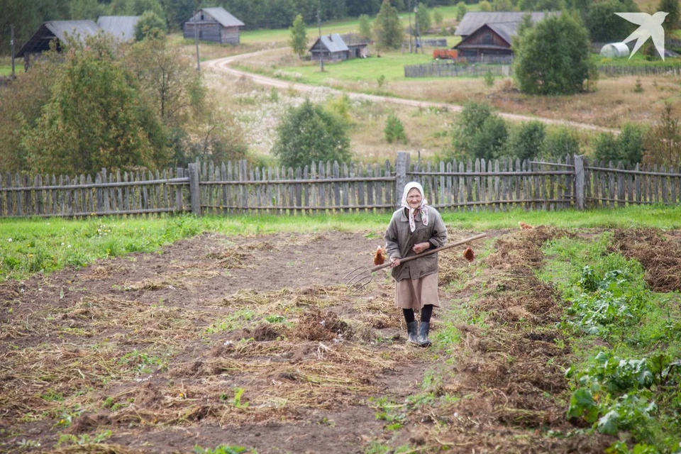 Базовый счет, в частности, не нужен пенсионерам, которые живут в деревнях и тем, кому больше 70 лет. Фото носит иллюстрационный характер.