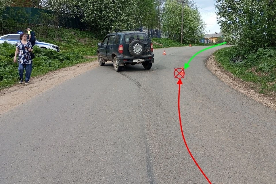 Фото: Госавтоинспекция Коми