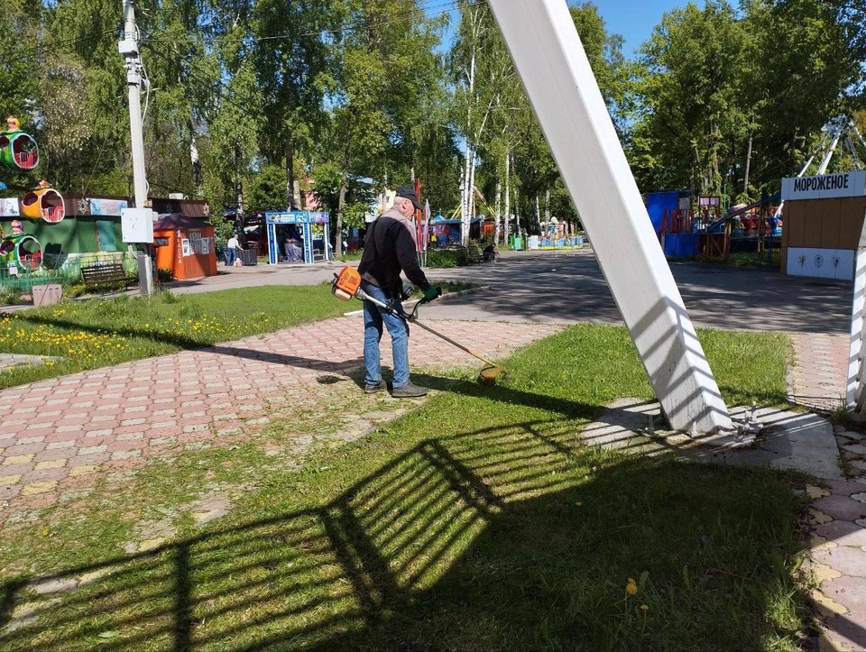 Свыше 3000 ульяновцев выйдут на последний санитарный пятничник весны. ФОТО: тг-канал администрации Ульяновска