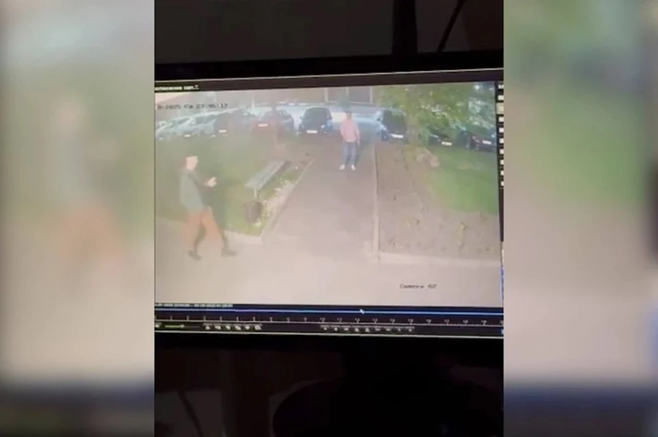 Момент встречи попал на видео. Фото: стоп-кадр видео