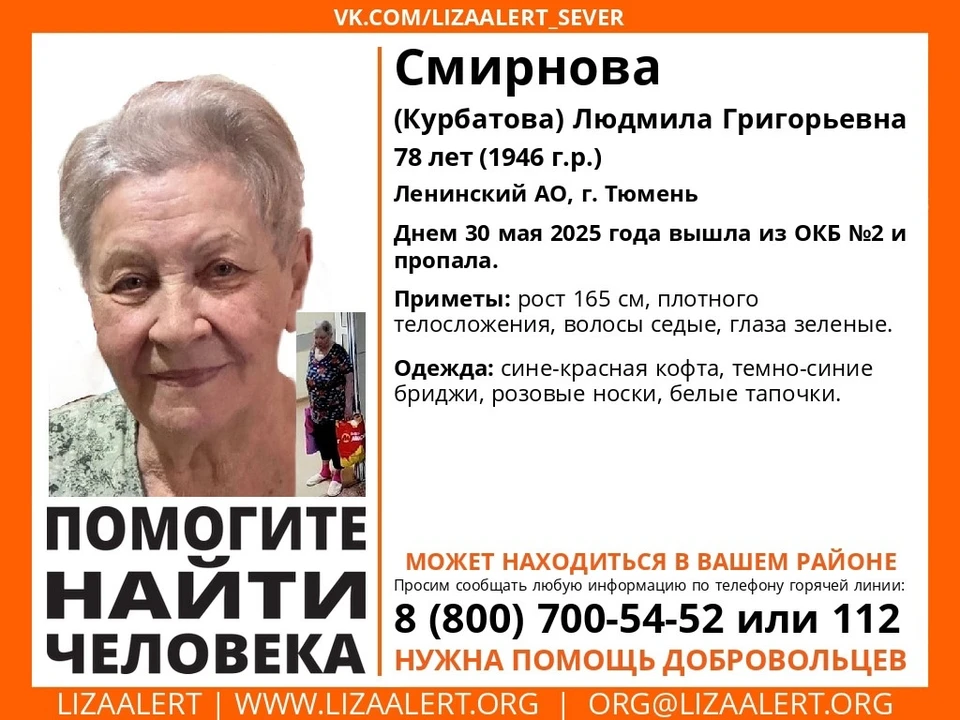Фото: Поисковый отряд «ЛизаАлерт» Тюменской области