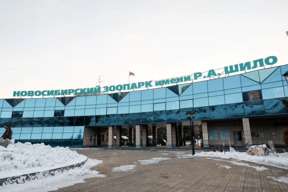 Посетителей будут пускать раньше и задерживать дольше — особенно в выходные
