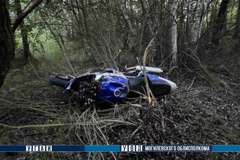 В Глусском районе мотоциклист врезался в лося и погиб. Фото: телеграм-канал УВД Могилевского облисполкома