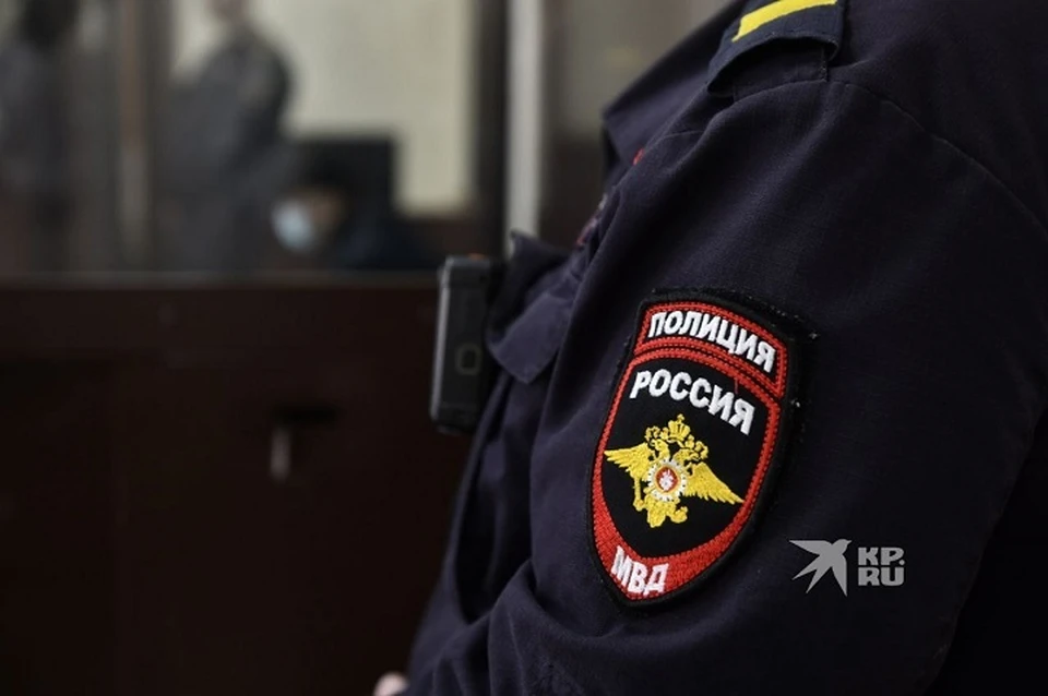 Любитель дорожных разборок помещен под стражу