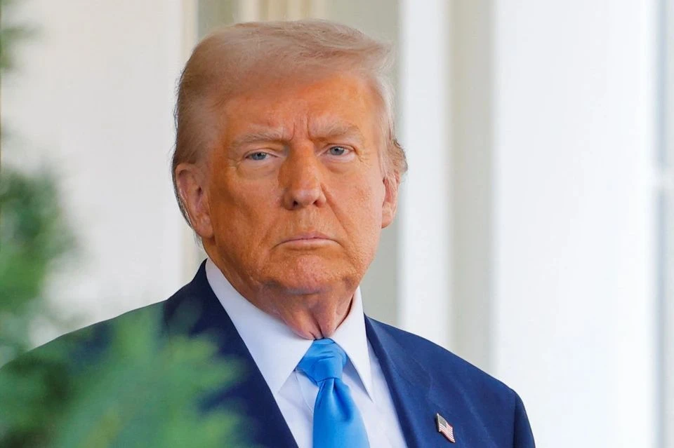 Трамп заявил Мерцу о своем участии в остановке «Северного потока-2»