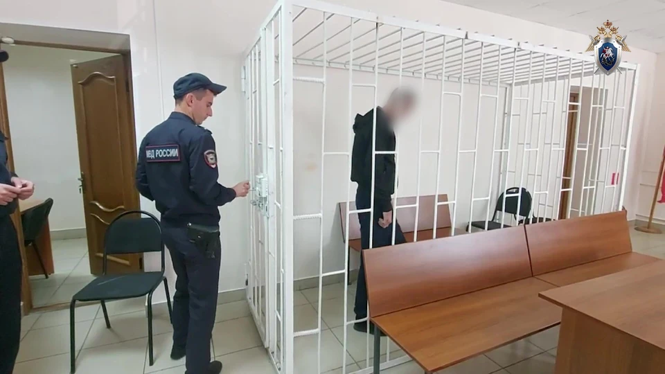 Ульяновца арестовали за попытку сжечь заживо сожительницу и двоих детей | ФОТО: скриншот с видео