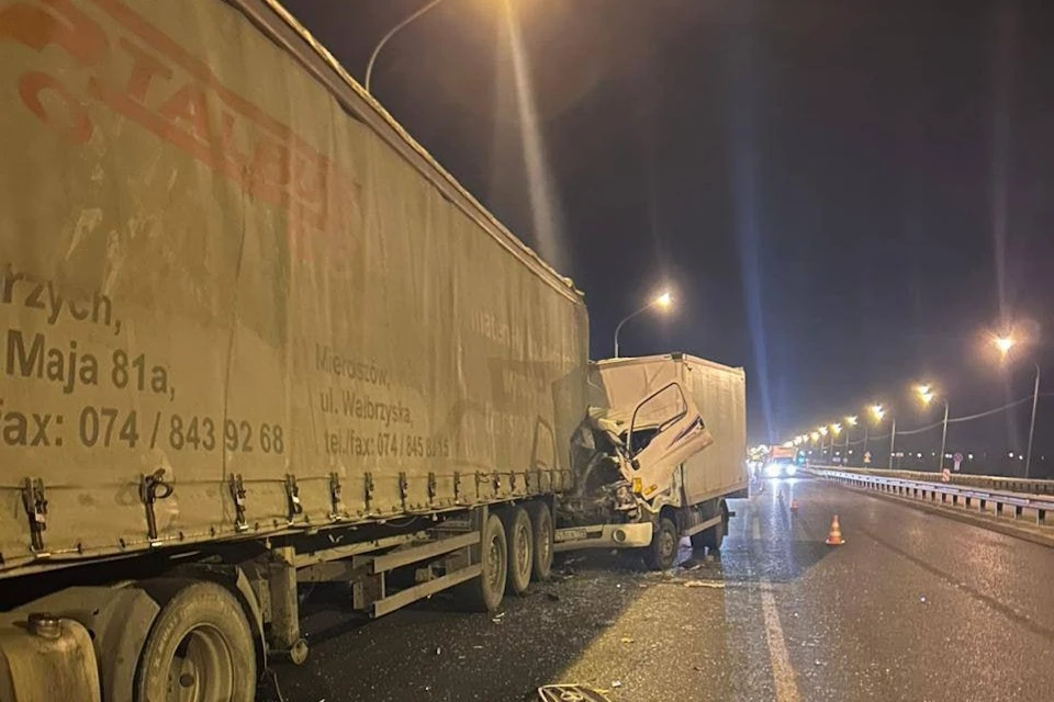 Фото: ГУ МВД России по Московской области