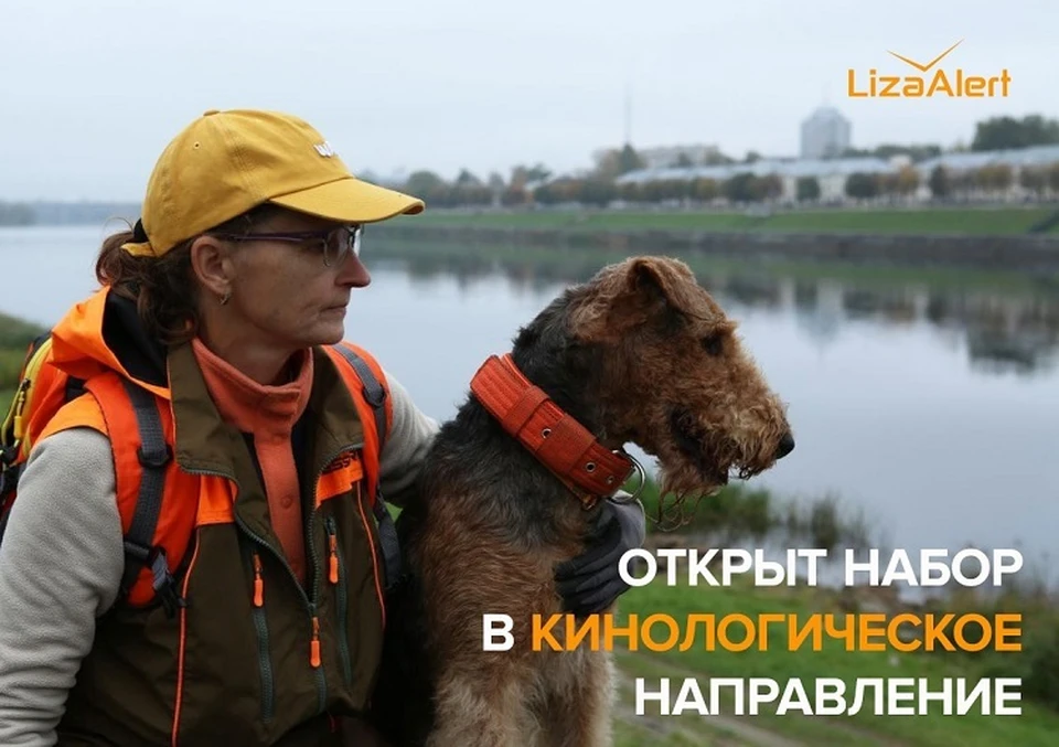 Ищут собак без страхов и фобий. Фото: "ЛизаАлерт"