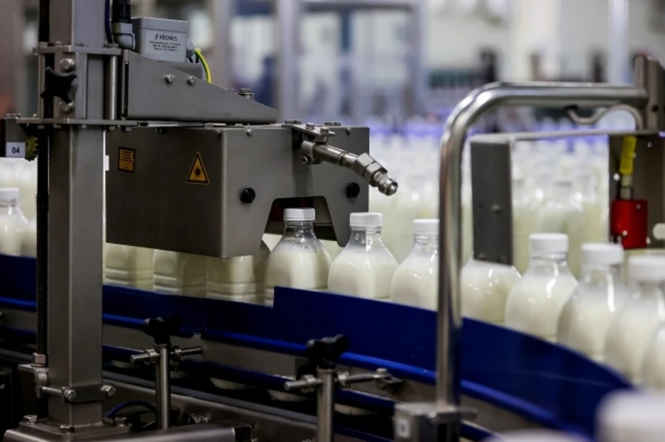В Прикамье молокозавод оштрафовали за подделку молочной продукции