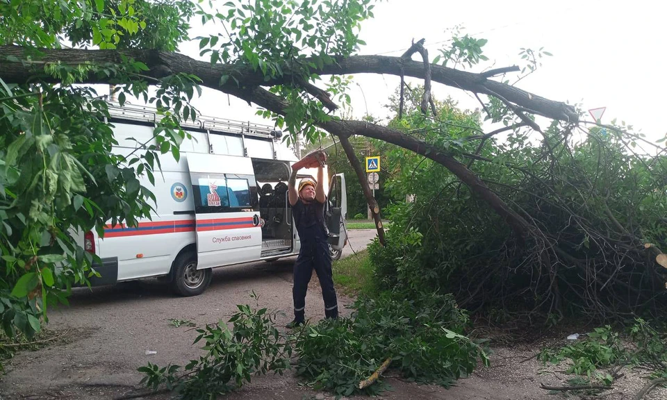 В Краснодаре спасатели отработали 83 заявки за неделю Фото: пресс-служба городской администрации