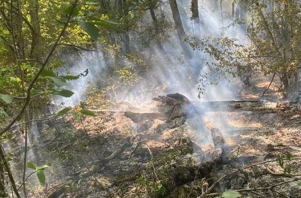 Тушение пожара затрудняла труднодоступная местность. Фото: Ольга Шевцова/Tg