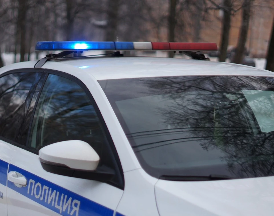 Два человека погибли в ДТП на трассе М-2 в Тульской области