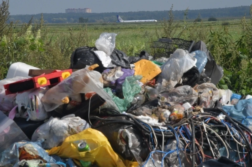 Мешки с трупами собак нашли в ЕАО