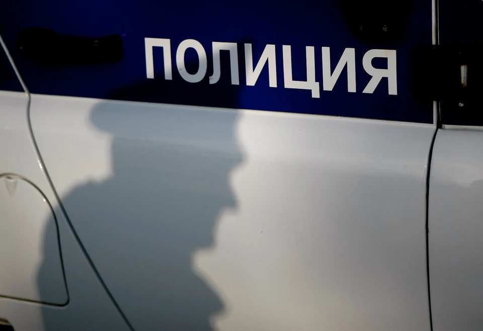 Подозреваемых задержали, ведется следствие